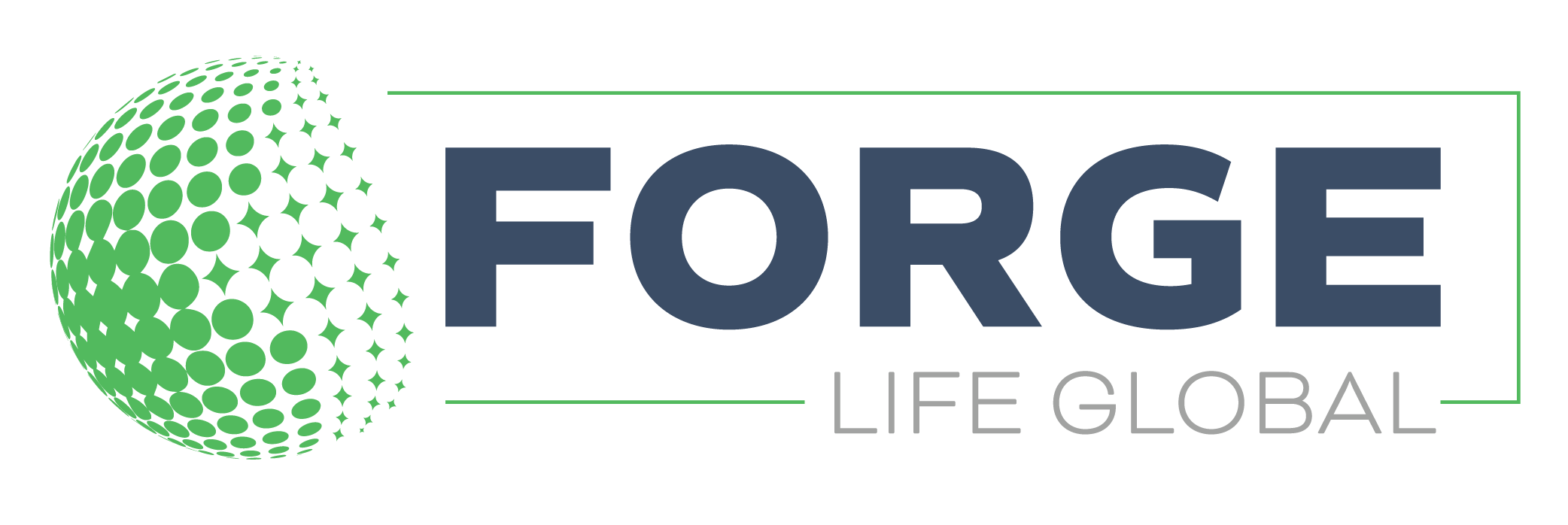 Forge Life Global Rectangle Color Logo