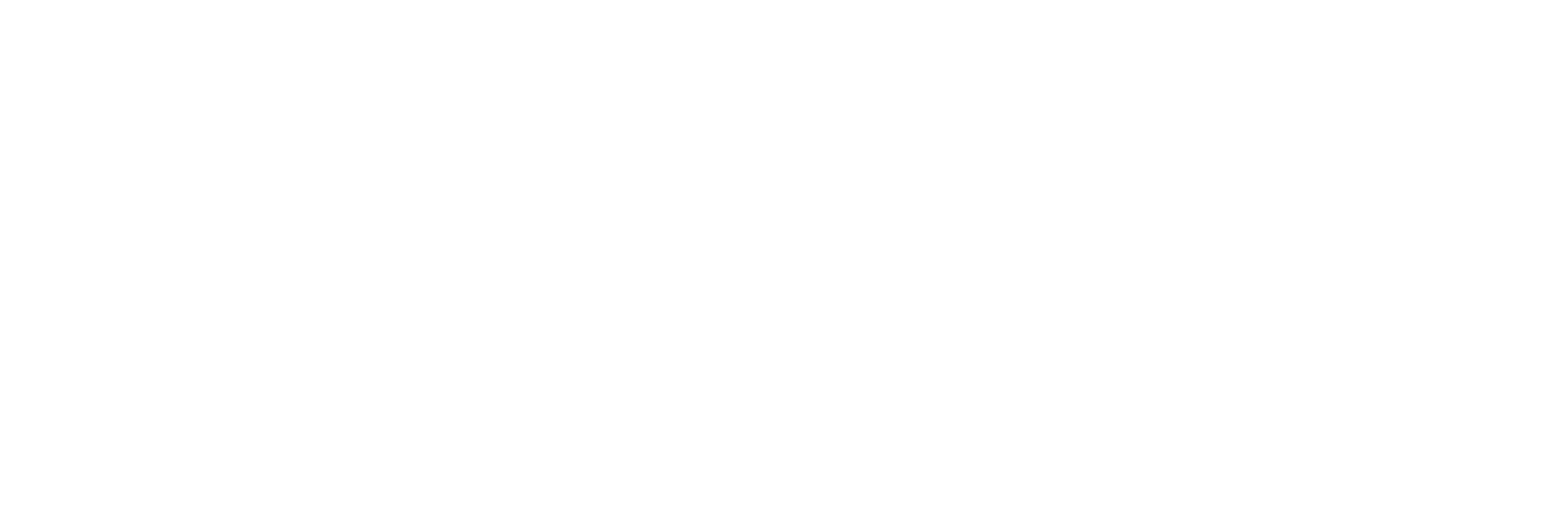 Forge Life Global Rectangle White Logo